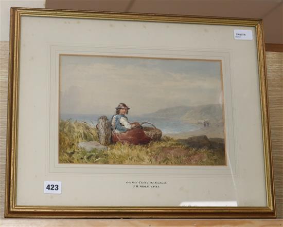 John Henry Mole (1814-1886), On the Cliffs, Nr. Seaford, signed and dated 1874, 21 x 31cm